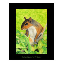 Curious Squirrel Art Print