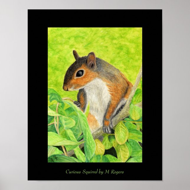 Curious Squirrel Art Print (Front)
