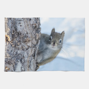 Curious Squirrel, Canadian Animal Photography Kitchen Towel
