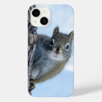 Curious Squirrel, Canadian Wildlife Photography
