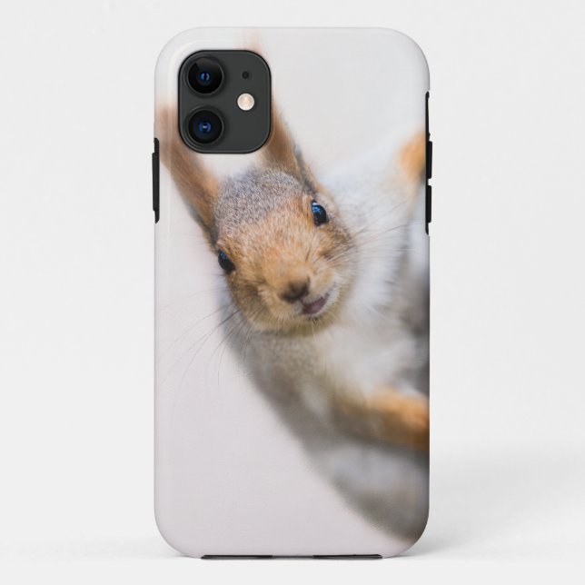 Curious squirrel Case-Mate iPhone case (Back)