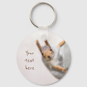 Curious squirrel keychain