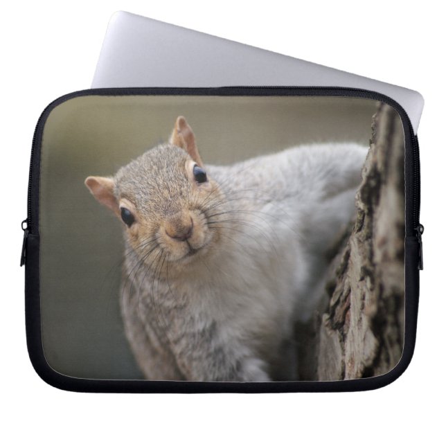 Curious Squirrel laptop sleeve (Front)