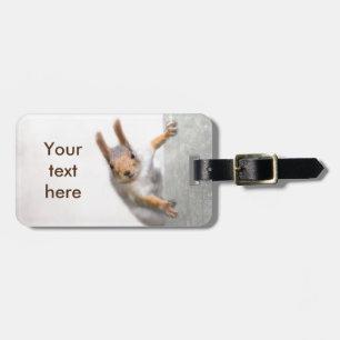 Curious squirrel luggage tag