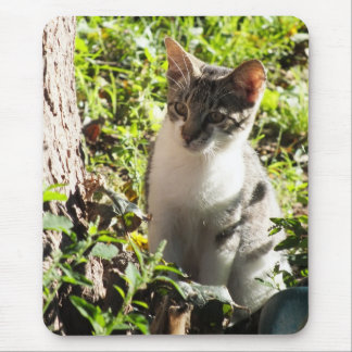 Curious Tiger and White Kitten Mouse pad