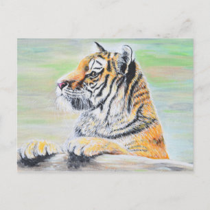 Curious Tiger Painting Postcard