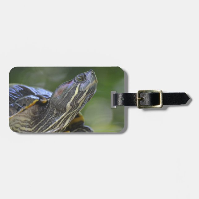 Curious Turtle Luggage Tag (Front Horizontal)