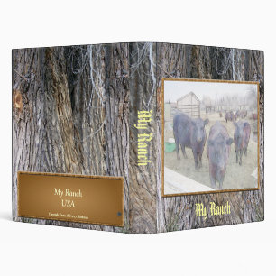 Curious Young Black Angus Binder