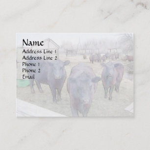 Curious Young Black Angus Business Card