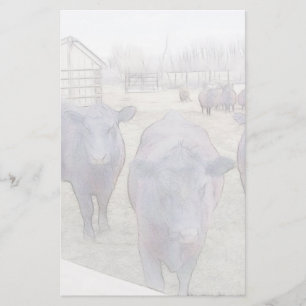 Curious Young Black Angus Stationery