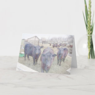 Curious Young Black Angus Thank You Card