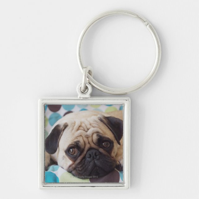 curious young pet keychain (Front)