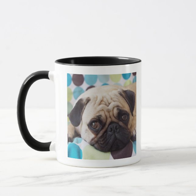 curious young pet mug (Left)