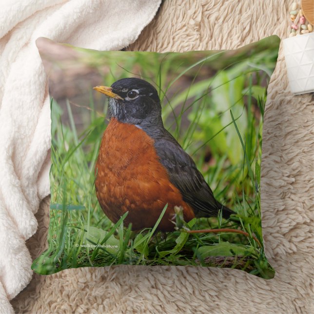CuriousAmerican Robin Songbird in the Grass Throw Pillow (Blanket)