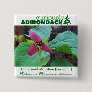 Curiously Adirondack button (Ampersand Trillium)