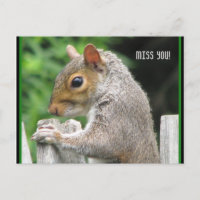 Curiously Cute, Miss you!