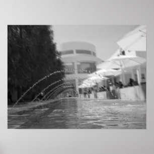 Curiously Serene Poster