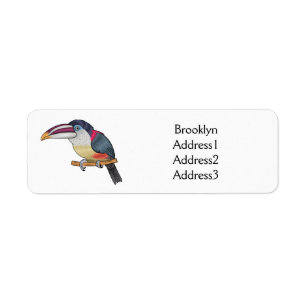 Curl crested aracari bird cartoon