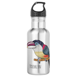 Curl crested aracari bird cartoon illustration 532 ml water bottle