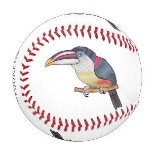 Curl crested aracari bird cartoon illustration  baseball