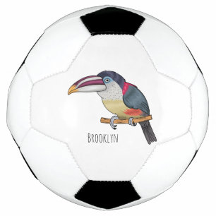 Curl crested aracari bird cartoon illustration  soccer ball