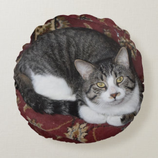 Curl up with a cat round pillow