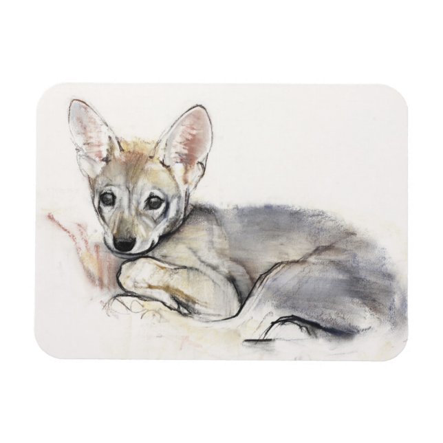 Curled Arabian Wolf Pup 2009 Magnet (Horizontal)