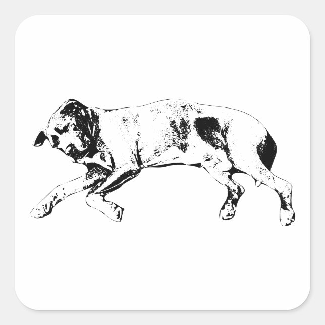 Curled Limbs, Noel Calm Square Sticker (Front)