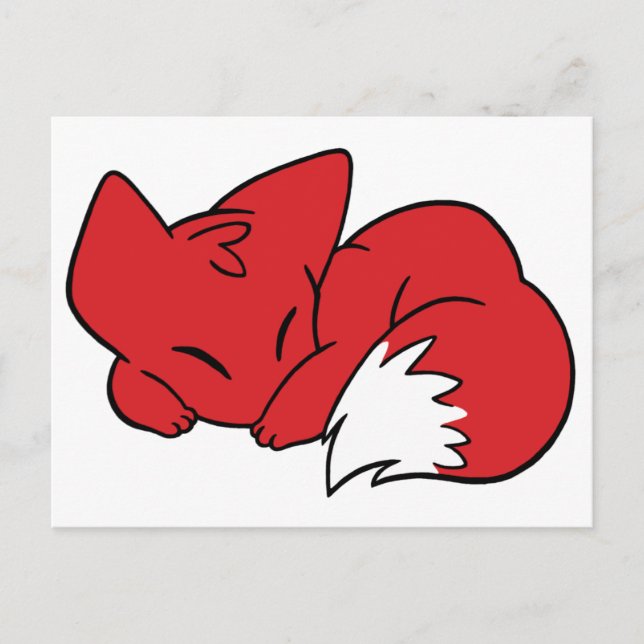 Curled Sleeping Fox Postcard (Front)