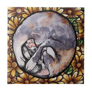 Curled Up Dilute Calico Kitty Cat                  Tile