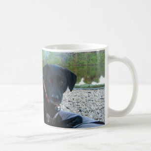 curled up doggie coffee mug