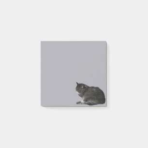 Curled Up Striped Cat Photo Cutout Purple Post-it Notes