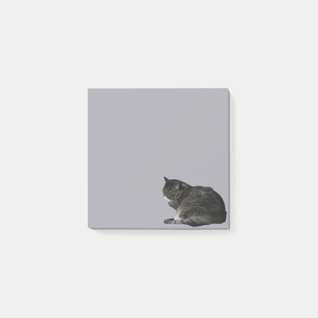 Curled Up Striped Cat Photo Cutout Purple Post-it Notes (Front)