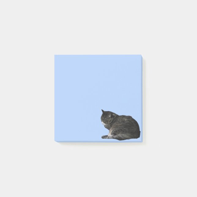 Curled Up Tabby Cat Photo Cutout Blue Post-it Notes (Front)
