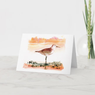 curlew sandpiper card