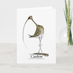curlew, tony fernandes card
