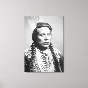 Curley, of the Crow tribe, one of Custer's scouts Canvas Print
