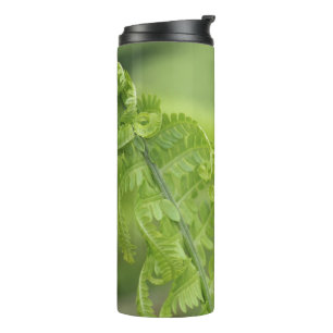 Curling Fern Leaves, Greenery, Blurred Background Thermal Tumbler