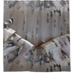 Curly Birch Bark Tree Rustic