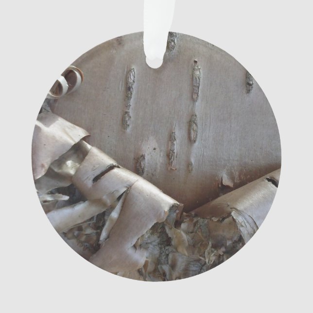 Curly Birch Bark Tree Rustic (devant)