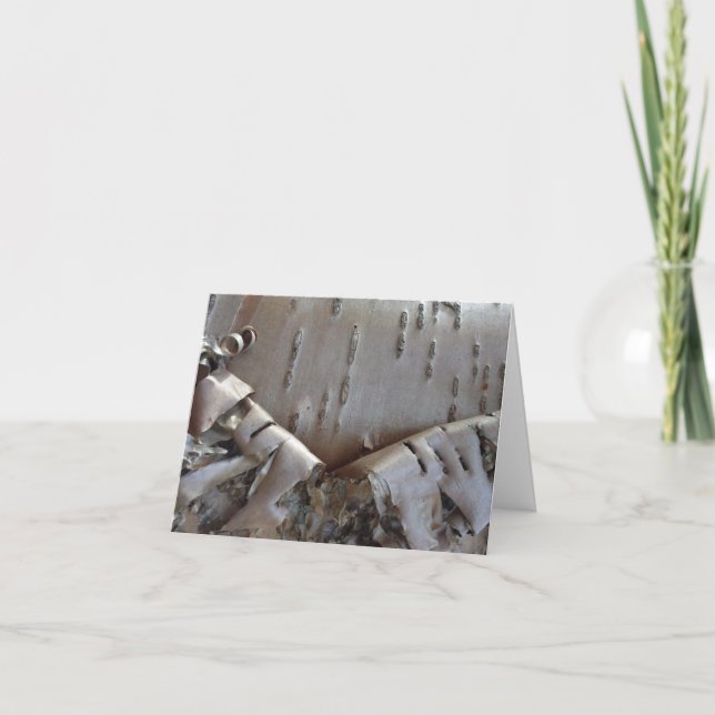Curly Birch Bark Tree Rustic (Devant)