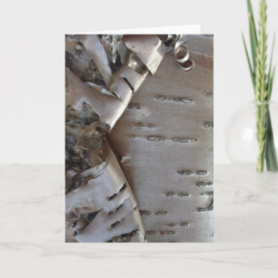 Curly Birch Bark Tree Rustic Card