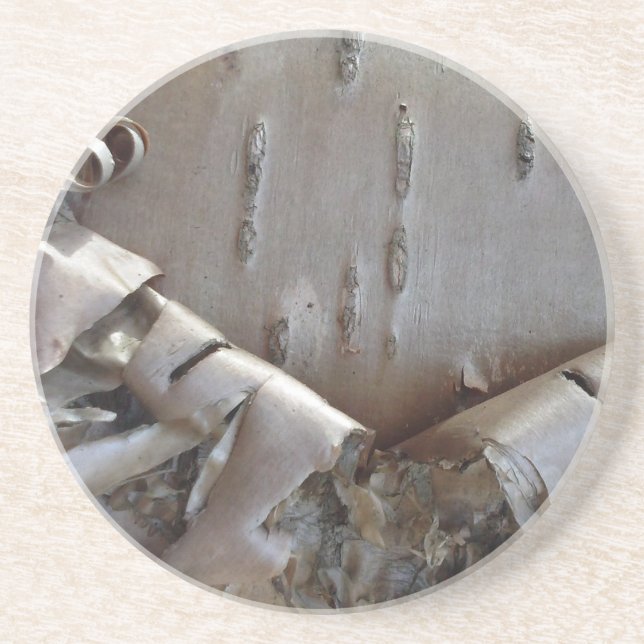 Curly Birch Bark Tree Rustic Coaster (Front)