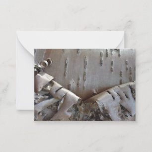 Curly Birch Bark Tree Rustic Flat Note Card