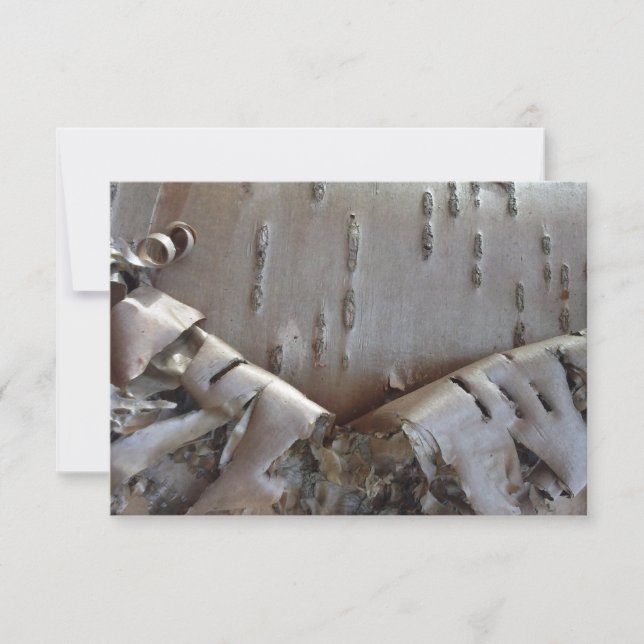 Curly Birch Bark Tree Rustic Flat Thank You Card (Front)