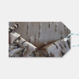 Curly Birch Bark Tree Rustic Gift Tag