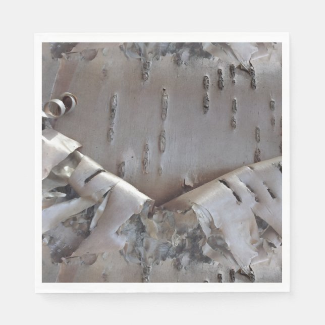 Curly Birch Bark Tree Rustic Napkin (Front)