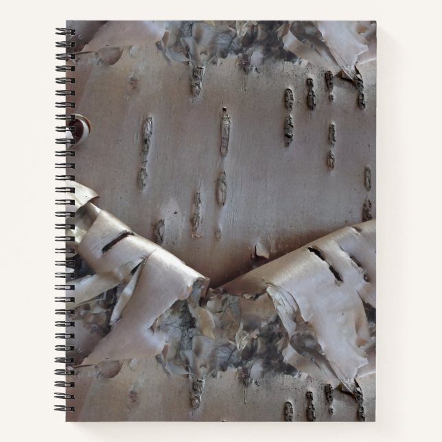 Curly Birch Bark Tree Rustic Notebook (Front)