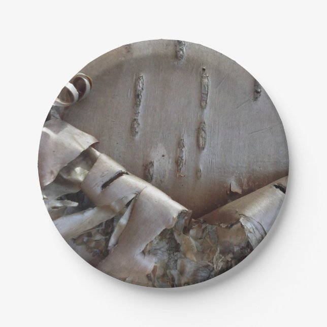Curly Birch Bark Tree Rustic Paper Plate (Front)