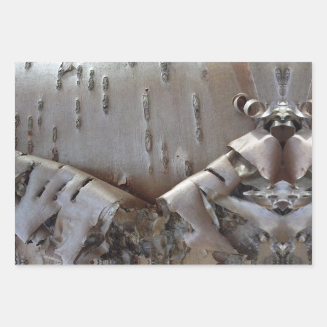 Curly Birch Bark Tree Rustic Wrapping Paper Sheet (Front)